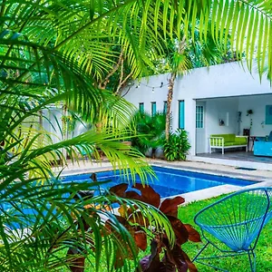 Casa Borush By Ecoplaneta Gasthof